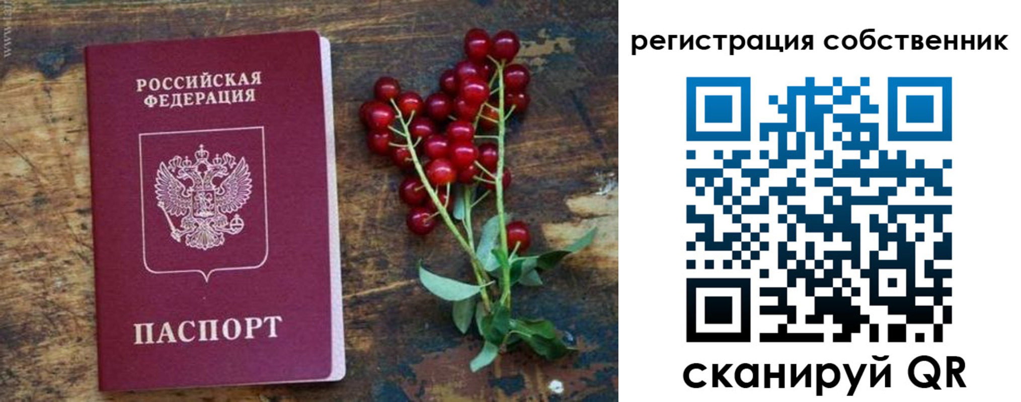 регистрация для дет. сада в Йошкар-Оле